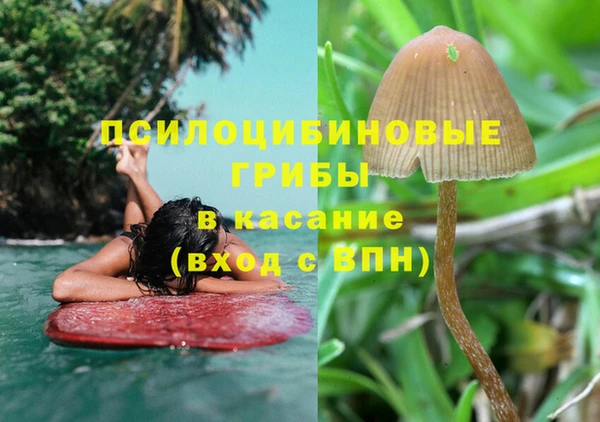 ПСИЛОЦИБИНОВЫЕ ГРИБЫ Карталы