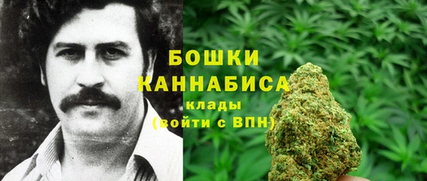 эйфоретик Карпинск