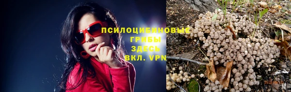 эйфоретик Карпинск