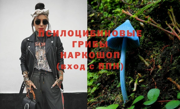 эйфоретик Карпинск