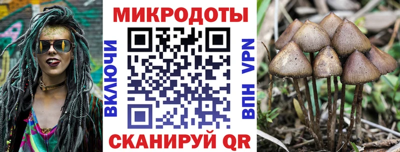 Купить где  Грязовец  Псилоцибиновые грибы Magic Shrooms 