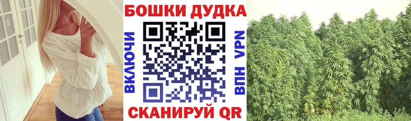 Купить закладки  Грязовец  Каннабис Bruce Banner 
